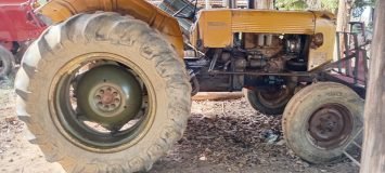 Imagem do WhatsApp de 2025-08-25 à(s) 08.13.53_da120a11