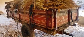 Imagem do WhatsApp de 2025-08-25 à(s) 08.30.43_60d01bf0